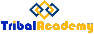 Tribal Academy